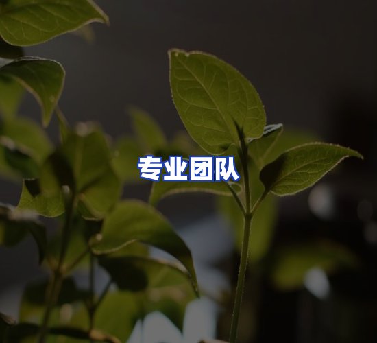 现代化资料管理中心